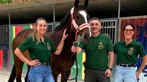 Le visite veterinarie sono ok. Scelte fatte per la giostra di stasera. Ecco i cavalli che si sfideranno