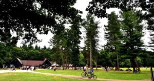 New bus route to major visitor attraction announced for summer holidays