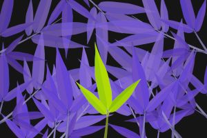 How I found gratitude in my ruined garden – eventually