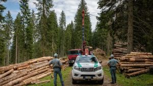 Oltre 24 mila controlli e 340 illeciti penali: la mappa degli interventi della Forestale in Friuli Venezia Giulia