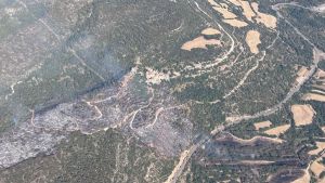 Un incendio en Camarasa (Lleida) amenaza el espacio natural protegido del Aiguabarreig Segre-Noguera Pallaresa
