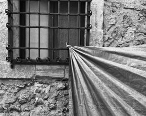 Closcadelletra (DXVIII): Les noces del verb i de la carn