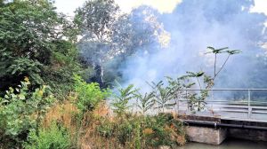 Incendio sulla Romea a Mesola, intervento complesso
