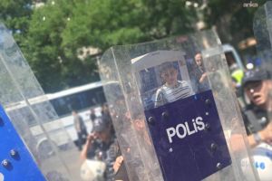 Gözaltılar, tutuklamalar, ülkede kalanlar ve Deniz Göktaş