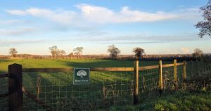 Bid to expand and improve dog facility in north Norfolk