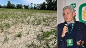 Agricoltura sull’orlo del baratro: «Siccità quasi ai livelli del 2022»