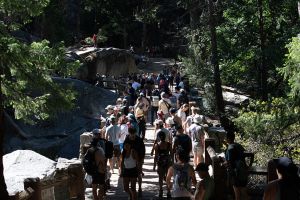 National Parks Are in Chaos. Trump Is Making It Worse