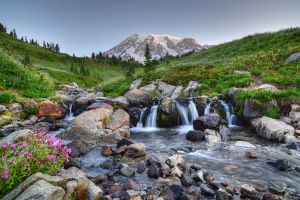 In 1931, Mount Rainier National Park briefly became a golfer's paradise