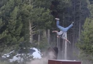 (VIDEO) Yellowstone Bull Bison Tosses Tourist 8 Feet Into Air in Terrifying Video, Leaving Man Hospitalized