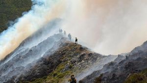 Suben a cinco los incendios forestales en Asturias, dos de ellos procedentes de León