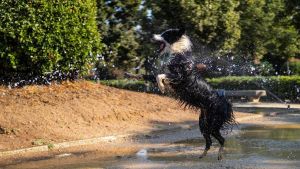 Catalunya encara la tercera ola de calor del verano, que se alargará como mínimo hasta el jueves