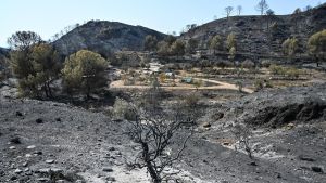 Muere una de las mujeres hospitalizadas por el incendio de Los Gallardos (Almería) y se elevan a 13 los fallecidos