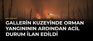 Gallerin Kuzeyinde Orman Yangınının Ardından Acil Durum İlan Edildi