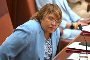 Exclusive: Liddle calls out Labor ‘pile on’ over Telstra outage post