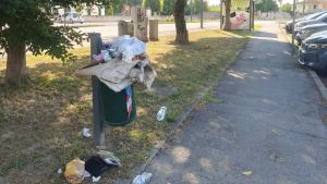 A Vigonza i cestini del quartiere pieni di immondizia: «Opera di un vandalo»