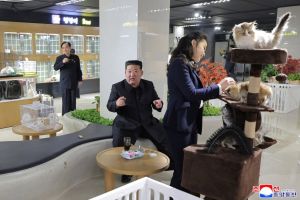 How the West Recognizes the DPRK’s Economic Achievements