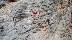 Sbaglia traccia in montagna e finisce su uno strapiombo. Salvato con l’elicottero