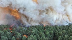 Bestrijding bosbrand ten zuidoosten van Parijs kan nog dagen duren, deel van de snelweg A6