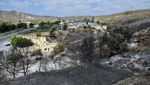 Sánchez visita las zonas afectadas por el incendio de Los Gallardos