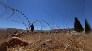 Duitsland trapt op de rem: EU voorlopig niet akkoord met importverbod Israëlische nederzettingen