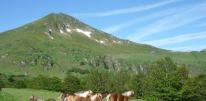 Les volcans du Cantal sont des montagnes…de verre!