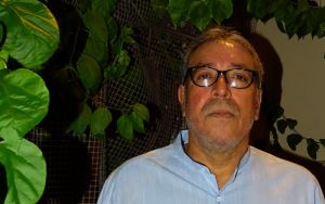 Retina | Las vacas no pueden equivocarse