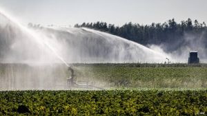 Brabants waterschap verbiedt watergebruik overdag om droogte