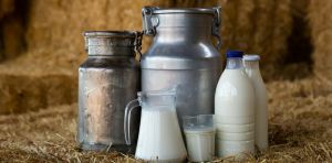 Lait cru : des bénéfices largement surestimés et des risques bien établis, selon la science