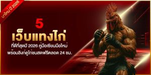 5 เว็บแทงไก่ ที่ดีที่สุดปี 2026 คู่มือเซียนมือใหม่ พร้อมลิงก์ดูไก่ชนสดฟรีตลอด 24 ชม.