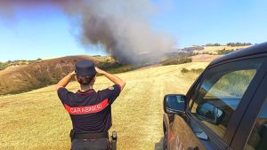 Staffolo, in fumo 17 ettari di riserva Colli del Verdicchio: si sondano le cause
