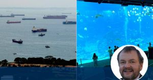 The disturbing global hypocrisy exposed right outside a massive oceanarium