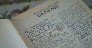 In the Bible, does ‘mankind’ include women?