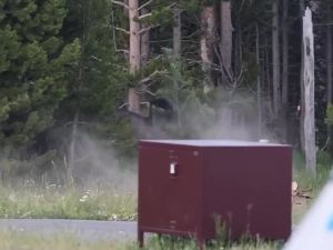 Yellowstone, il bisonte carica e colpisce un 65enne: il video choc