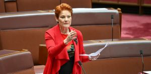 Mixed bag for One Nation in latest polls as voters show wariness around some policies