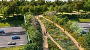 Appello a Seveso, cinquant’anni dopo il dramma della diossina: “Dedichiamo a Francesco Rocca il ponte del bosco”