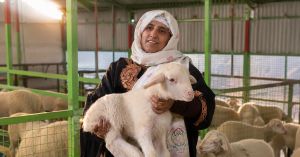 Kashmiri Mother Didn’t Land a Govt Job, Founded a 500-Sheep Farm Earning Rs 1 Lakh a Month