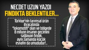 Necdet Uzun yazdı: Fındıkta beklentiler...