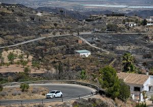 Prevenir unidos los incendios