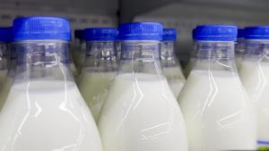 Raspisan javni poziv za premiju za mleko za drugi kvartal, prijave do 14. avgusta