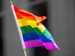 Adam Zivo: The necessary rise of 'homonationalism'