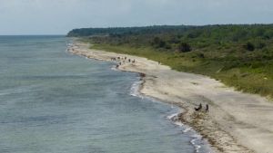 Skal du på strandtur til Grenaa? Derfor skal du passe særligt på i disse dage