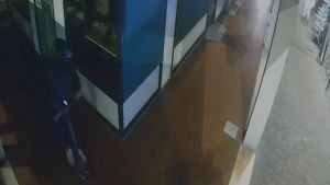 Ladro in monopattino tenta l’assalto alla pasticceria Ceccon a Carpenedo