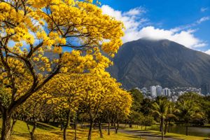 Quel tremendo 24 giugno: il Venezuela ferito non smette di sperare