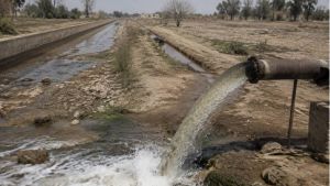 What Punjab Can Learn From Punjab
