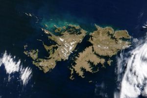 Malvinas veterans back Scaloni on England match: ‘sports are not war’