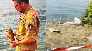 “Venite, c’è una bomba in spiaggia”: allarme a Sulzano per un ordigno della Prima Guerra Mondiale