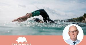 Can anyone explain the Australian addiction to swimming in sharky waters?