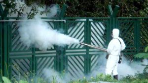 Malattie tropicali in Lombardia: casi di Dengue in aumento, sono (già) 36