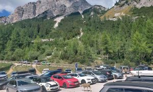 Kaj se dogaja na najvišjem prelazu v državi? Promet usmerjajo policisti, reditelji in ovce