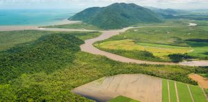 Water pollution has long been a threat to the Great Barrier Reef ‑ plans to fix it aren’t up to the task